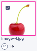 Sample with empty annotation and no annotation in thumbnails view