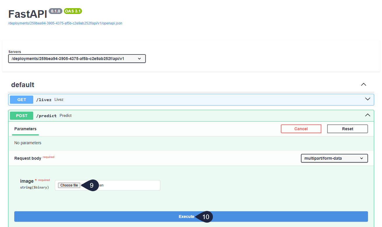 Swagger UI - Choose image and execute