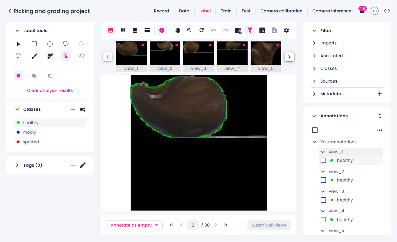 Multiview instance segmentation